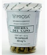 HIERBA DEL SAPO